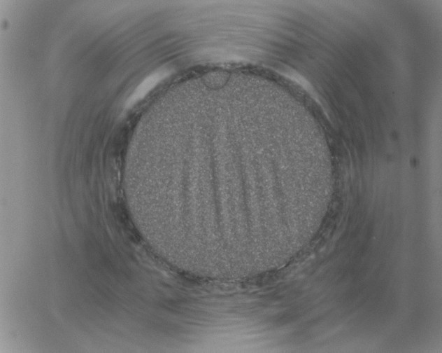 X0000062930871200602101919