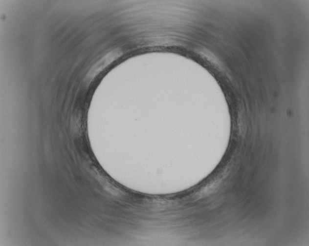X0000062930873200602101919