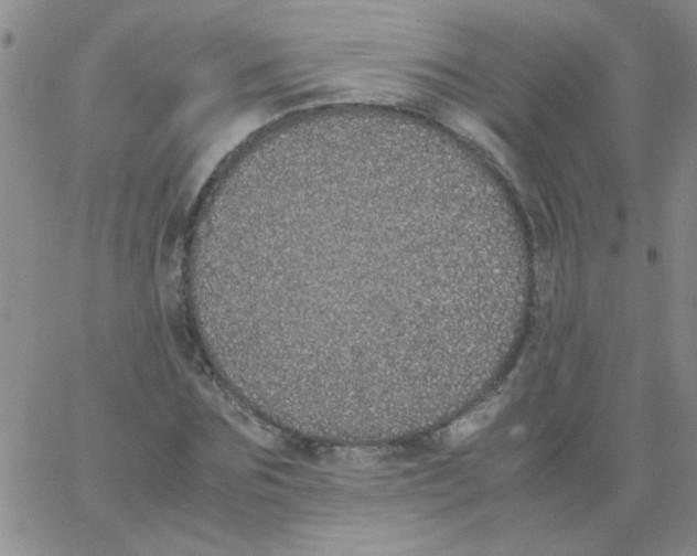X0000062930875200602101919