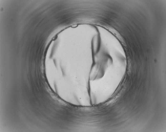 X0000062930904200602101919