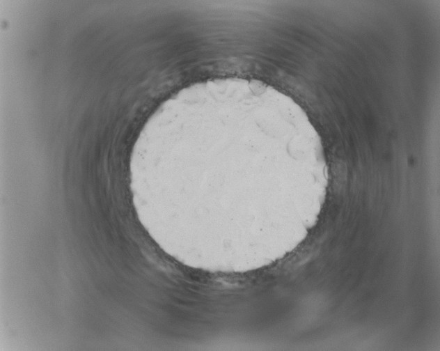 X0000062930913200602101918