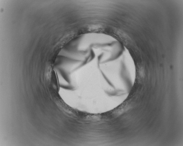 X0000062930914200602101918