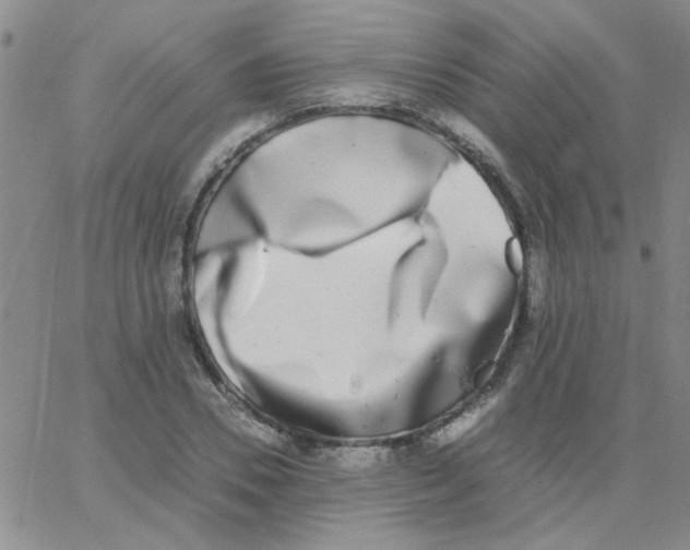 X0000062930930200602101918