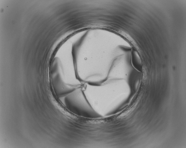 X0000062930939200602101918