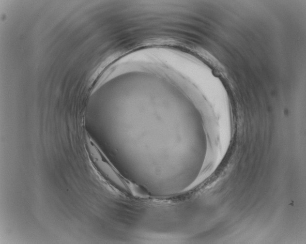 X0000062930945200602101918