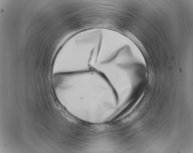X0000062930956200602101918