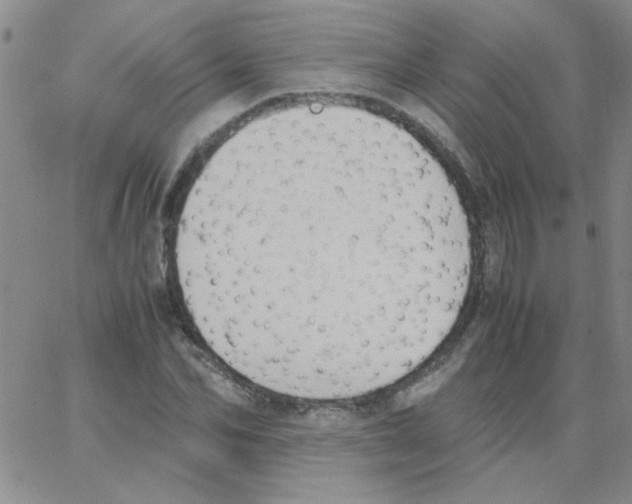 X0000062930974200602101918