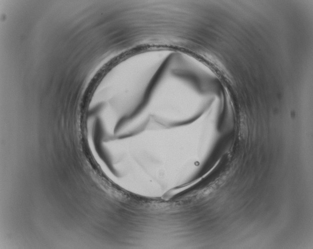 X0000062930976200602101918