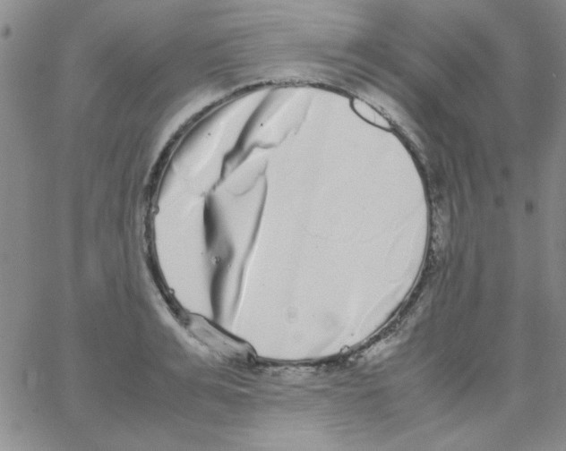 X0000062930991200602101917