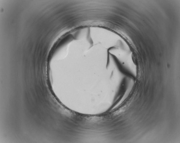 X0000062930992200602101917