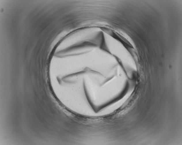 X0000062930997200602101917