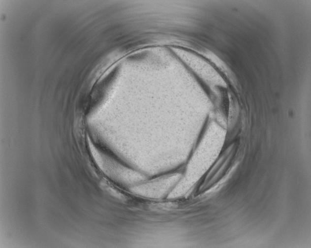 X0000062931001200602101917