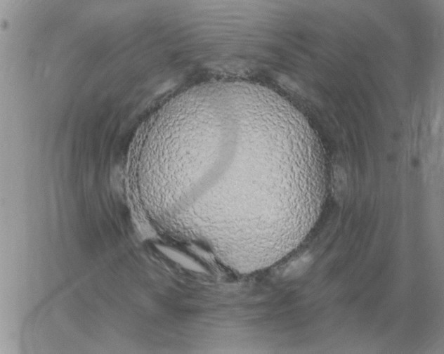 X0000062931010200602101916