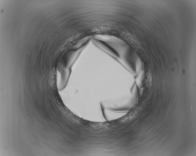 X0000062931012200602101916