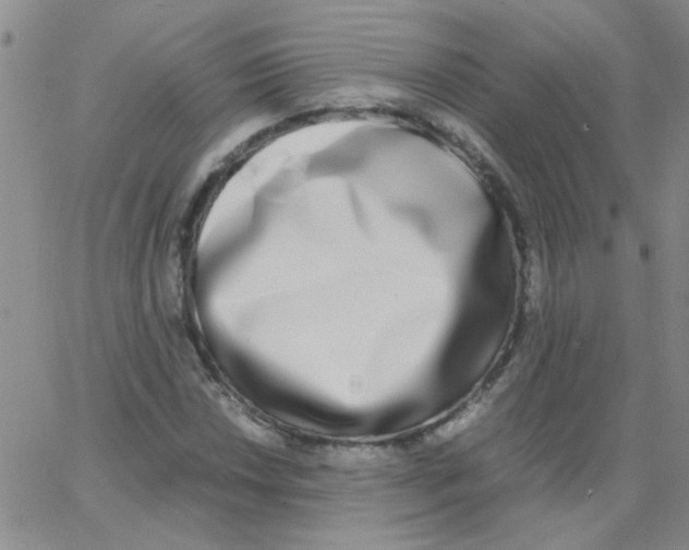 X0000062931018200602101916