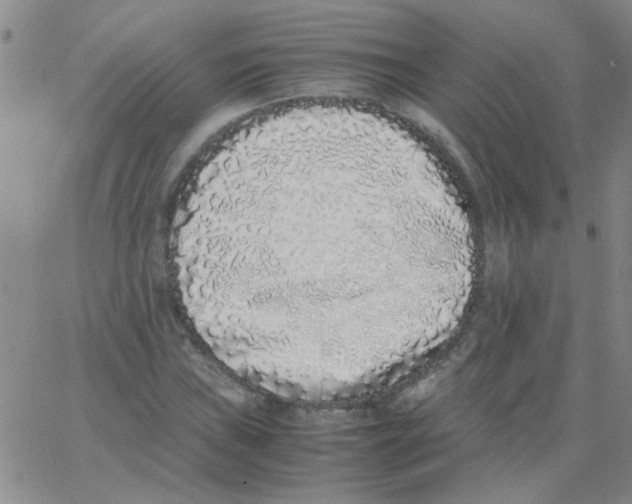 X0000062931019200602101916