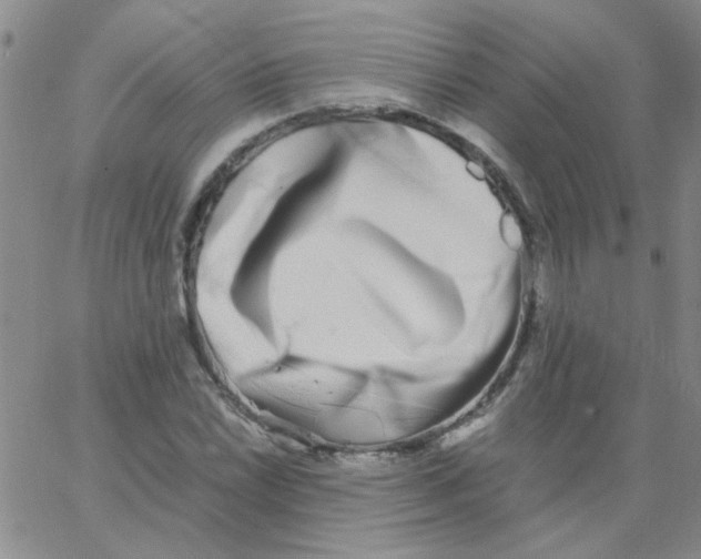 X0000062931022200602101916