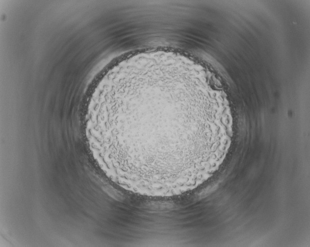 X0000062931023200602101916