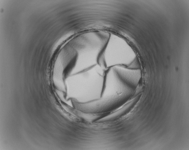 X0000062931026200602101917