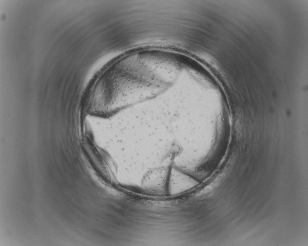 X0000062931030200602101917