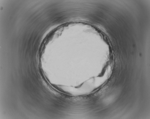 X0000062931032200602101917