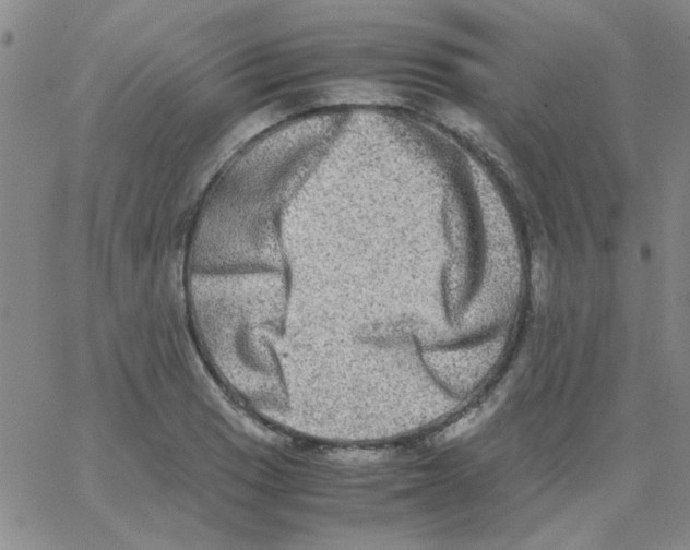 X0000062931033200602101917