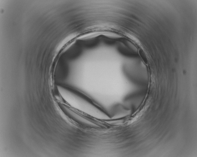 X0000062931034200602101917