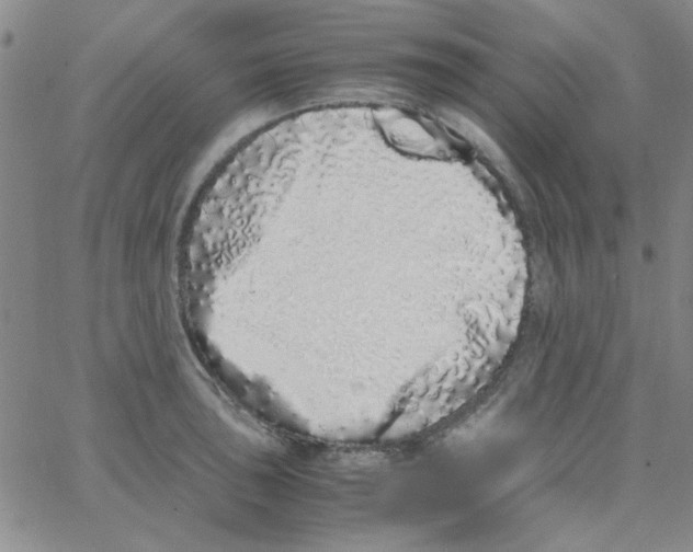 X0000062931043200602101917
