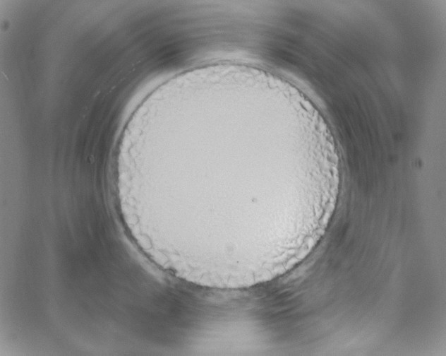 X0000062931056200602101917