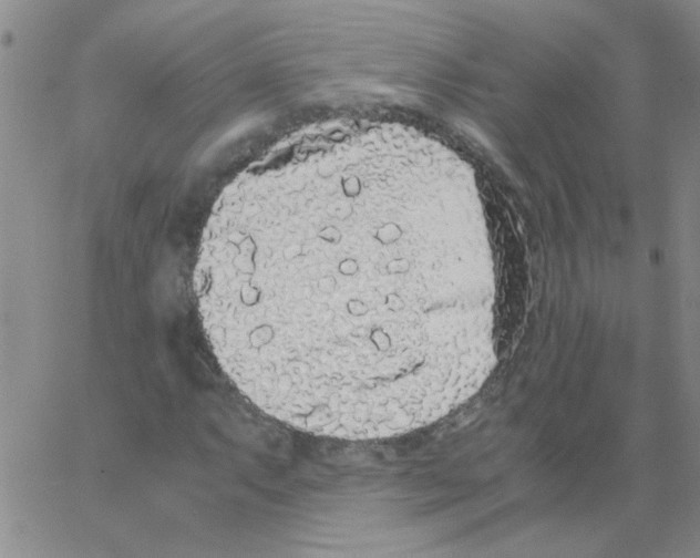 X0000062931063200602101916
