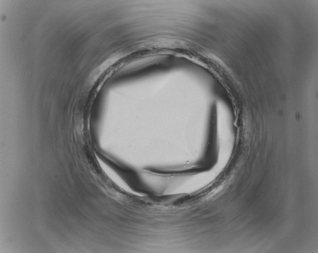 X0000062931065200602101916