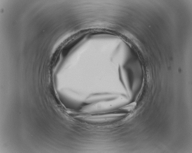 X0000062931069200602101916