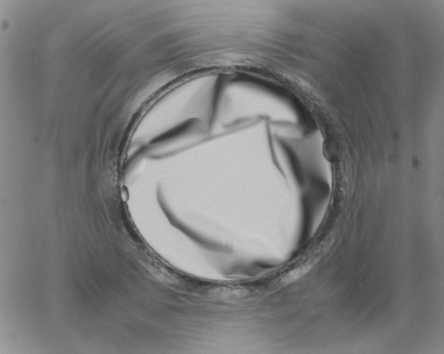 X0000062931073200602101916