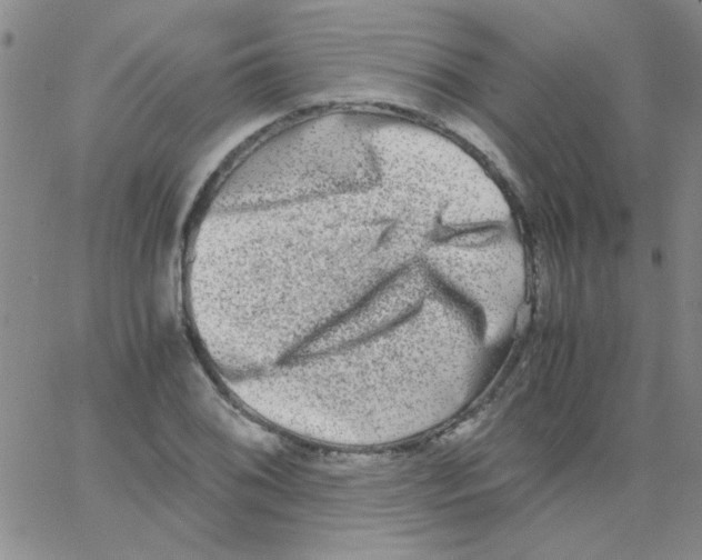 X0000062931076200602101916
