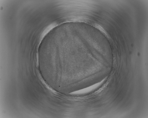 X0000062931079200602101916