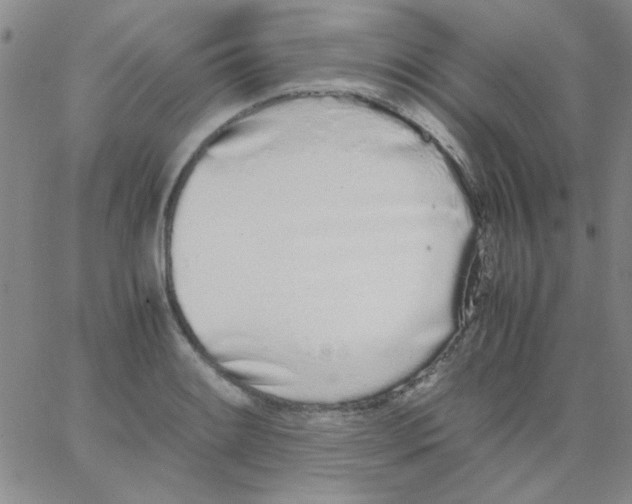 X0000062931084200602101916