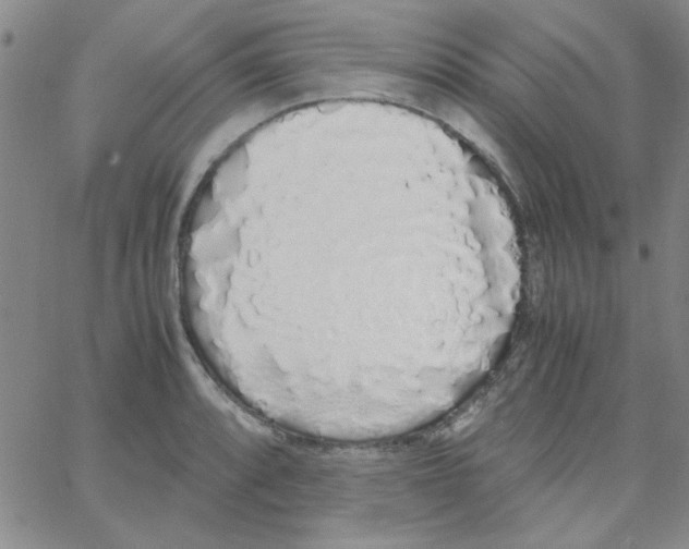 X0000062931088200602101916
