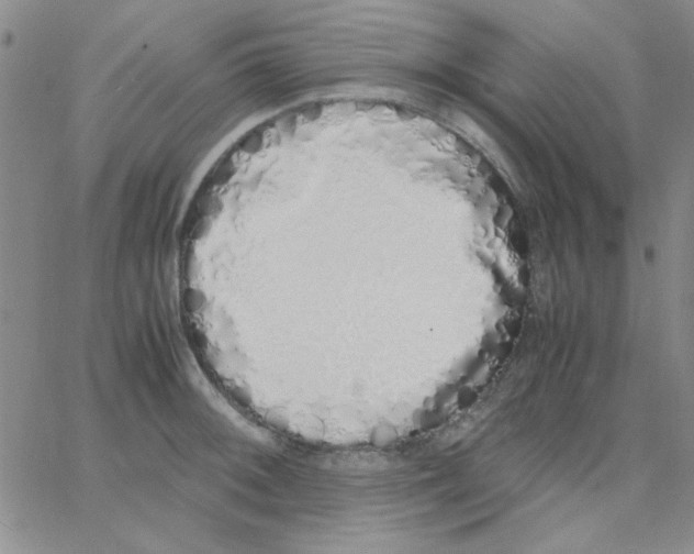 X0000062931092200602101916