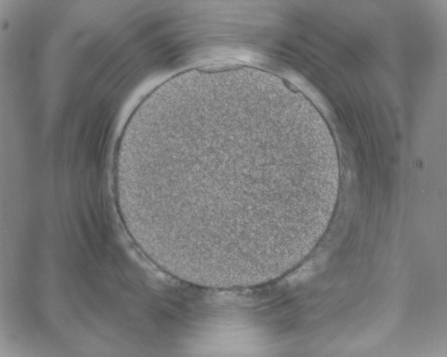 X0000062931104200602101915