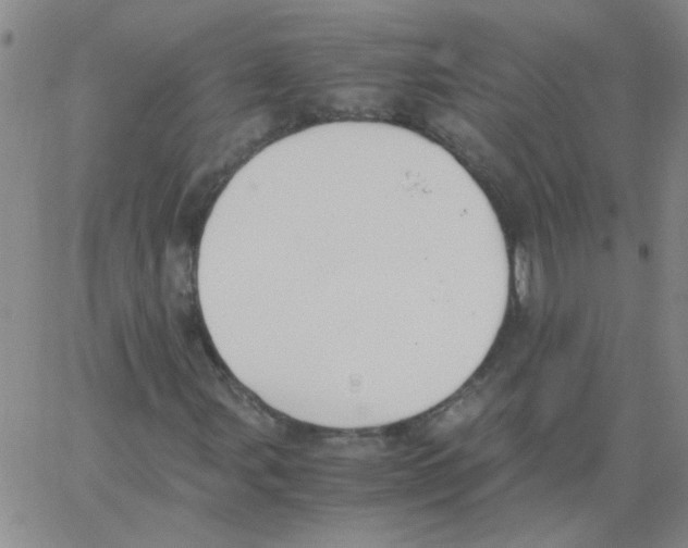 X0000062931107200602101915