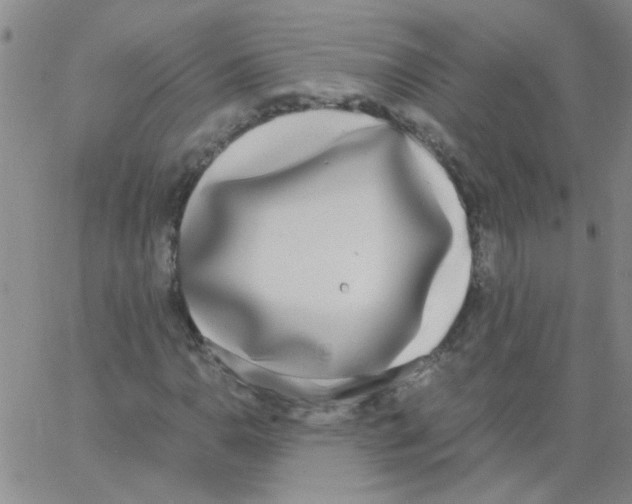 X0000062931110200602101915