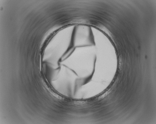 X0000062931123200602101915