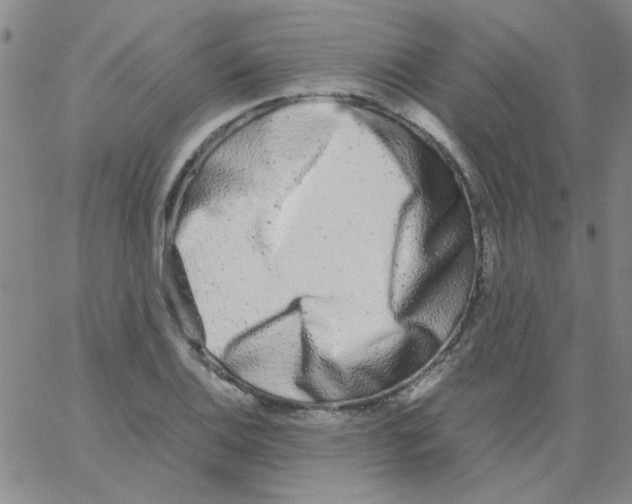 X0000062931124200602101915
