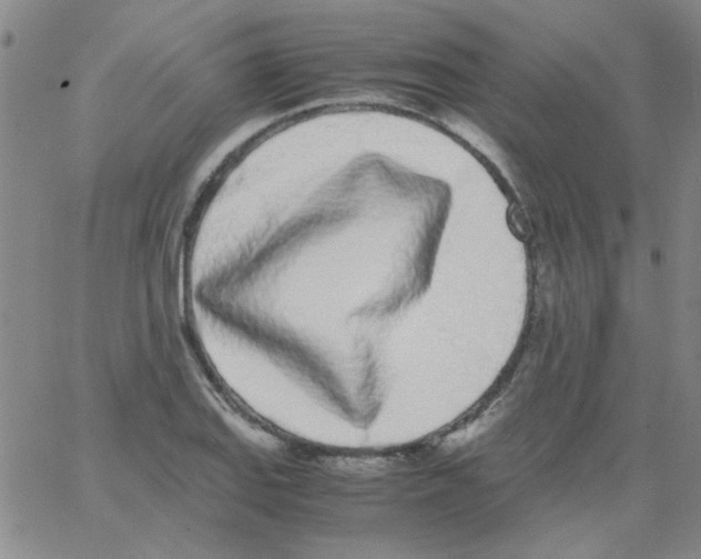 X0000062931127200602101915