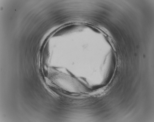 X0000062931128200602101915