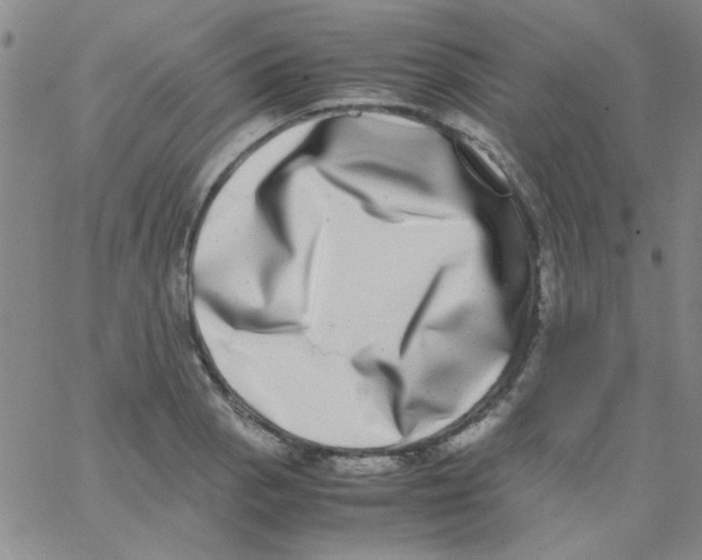 X0000062931129200602101915