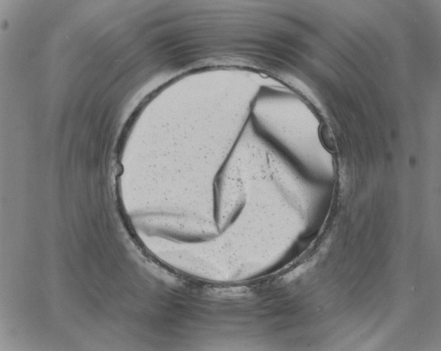 X0000062931133200602101915