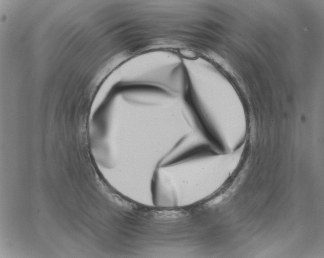 X0000062931137200602101915