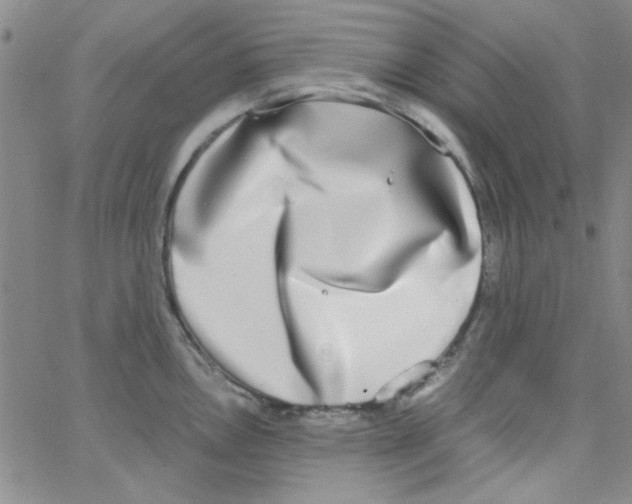 X0000062931146200602101915