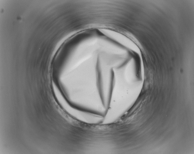 X0000062931148200602101915